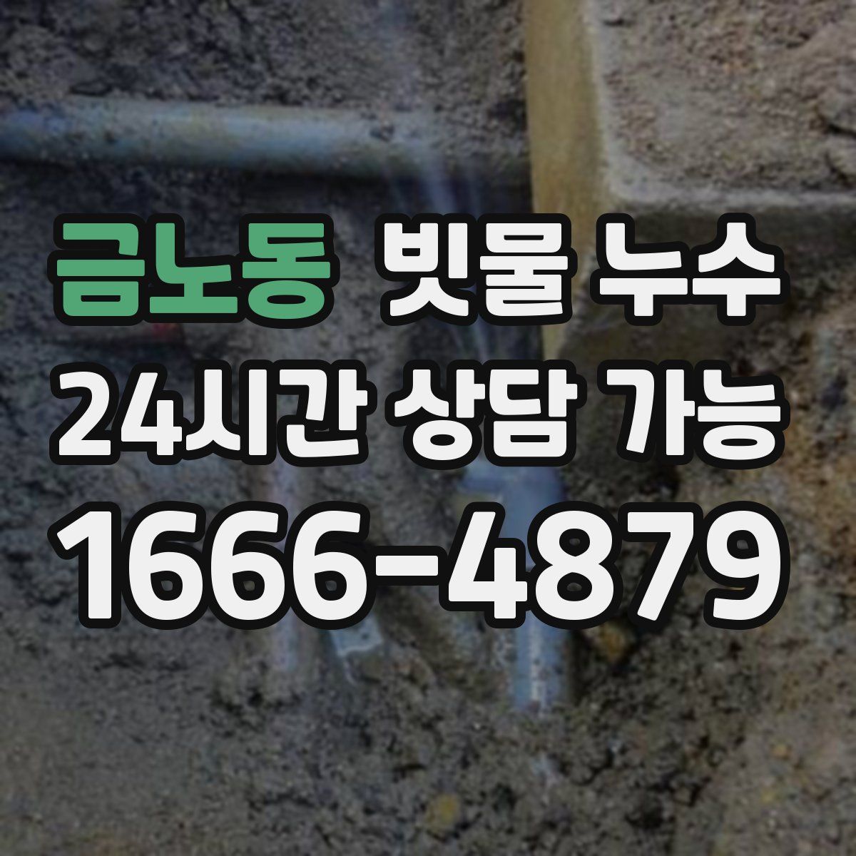 금노동 빗물 누수