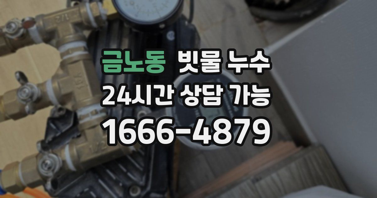 금노동 빗물 누수