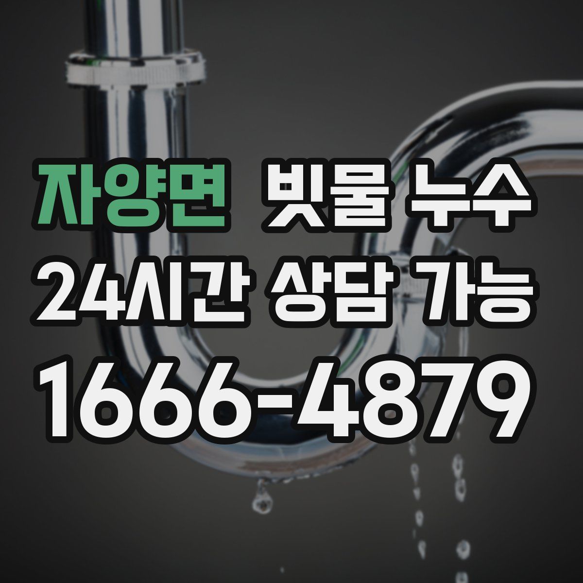 자양면 빗물 누수