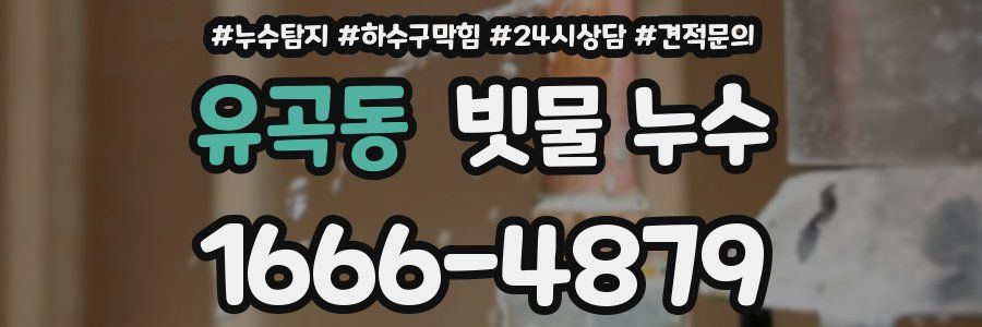 유곡동 빗물 누수