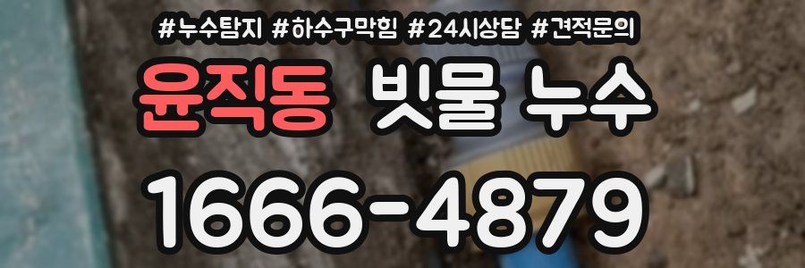 윤직동 빗물 누수