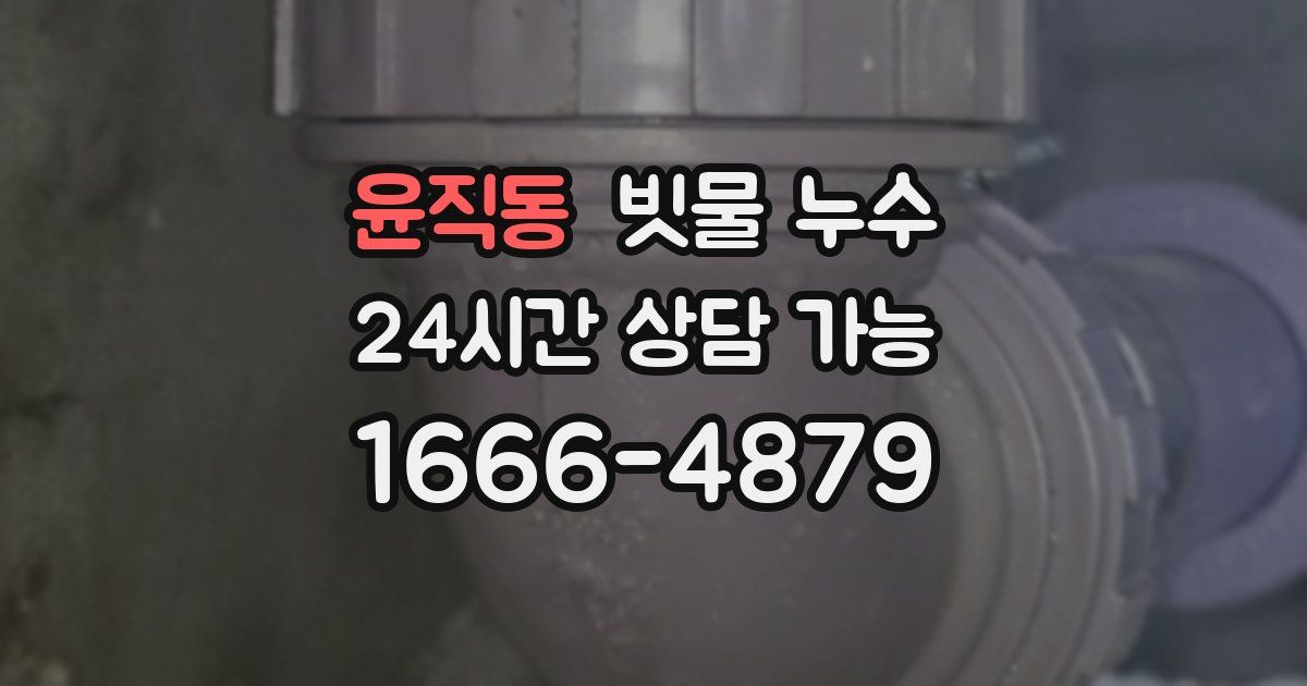 윤직동 빗물 누수