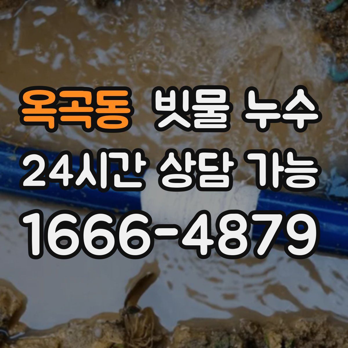 옥곡동 빗물 누수