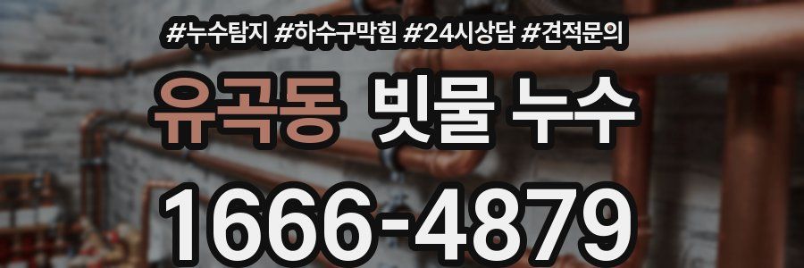 유곡동 빗물 누수