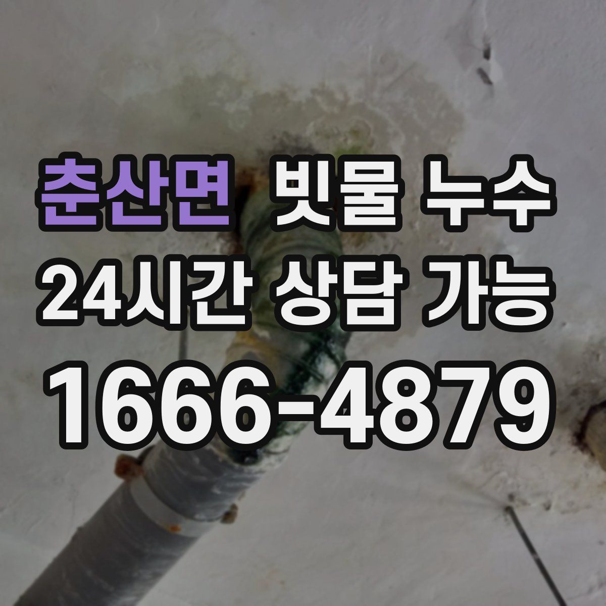 춘산면 빗물 누수