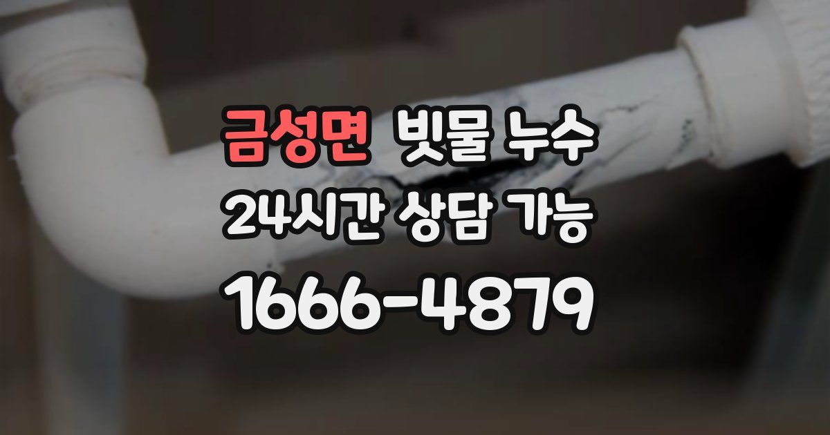 금성면 빗물 누수