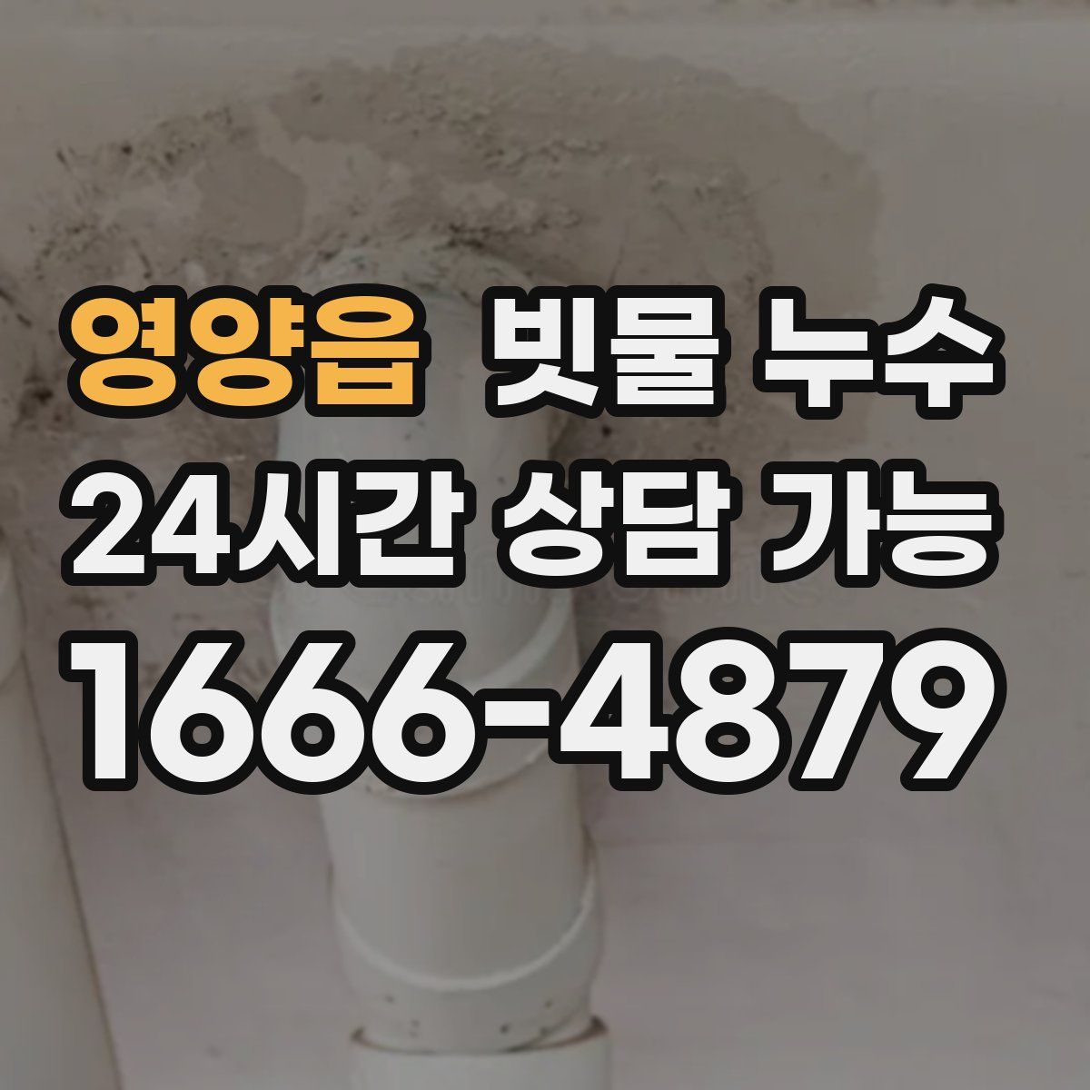 영양읍 빗물 누수