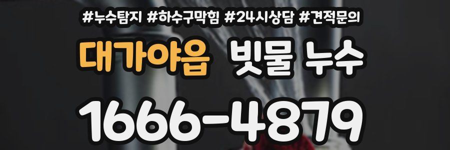대가야읍 빗물 누수