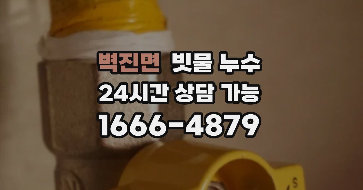 벽진면 빗물 누수
