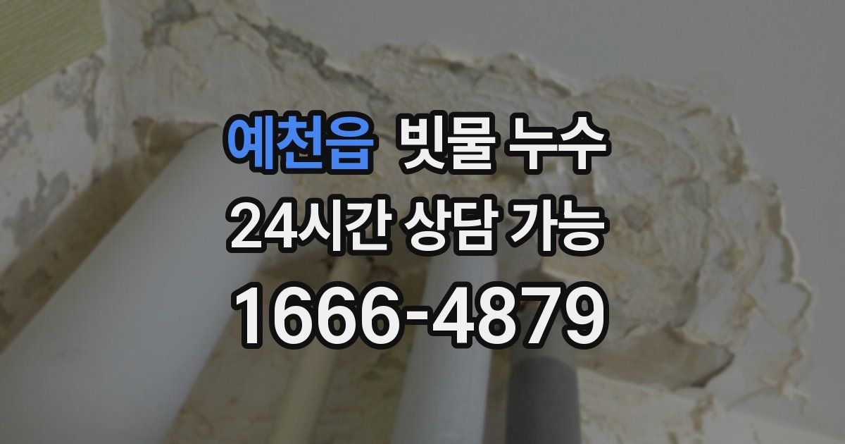 예천읍 빗물 누수
