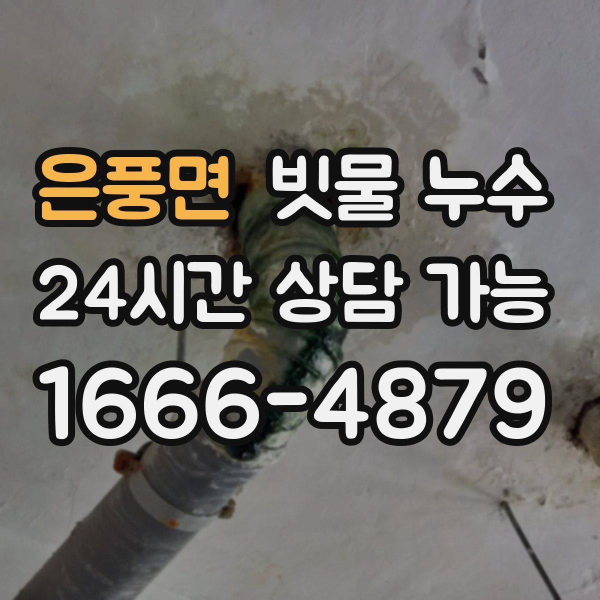 은풍면 빗물 누수