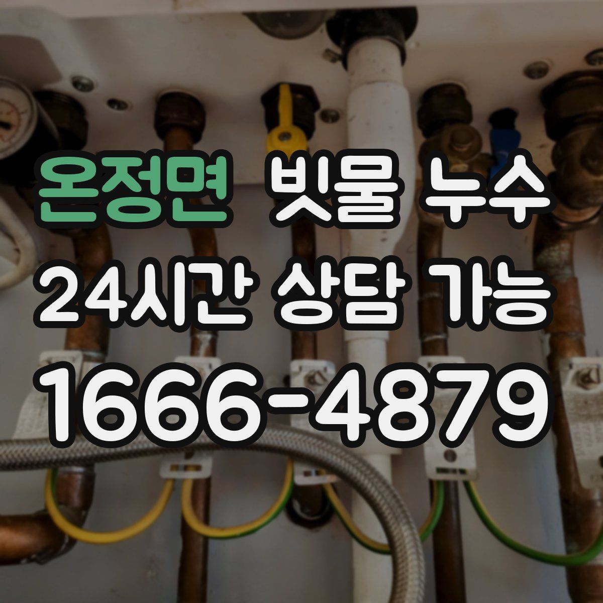 온정면 빗물 누수