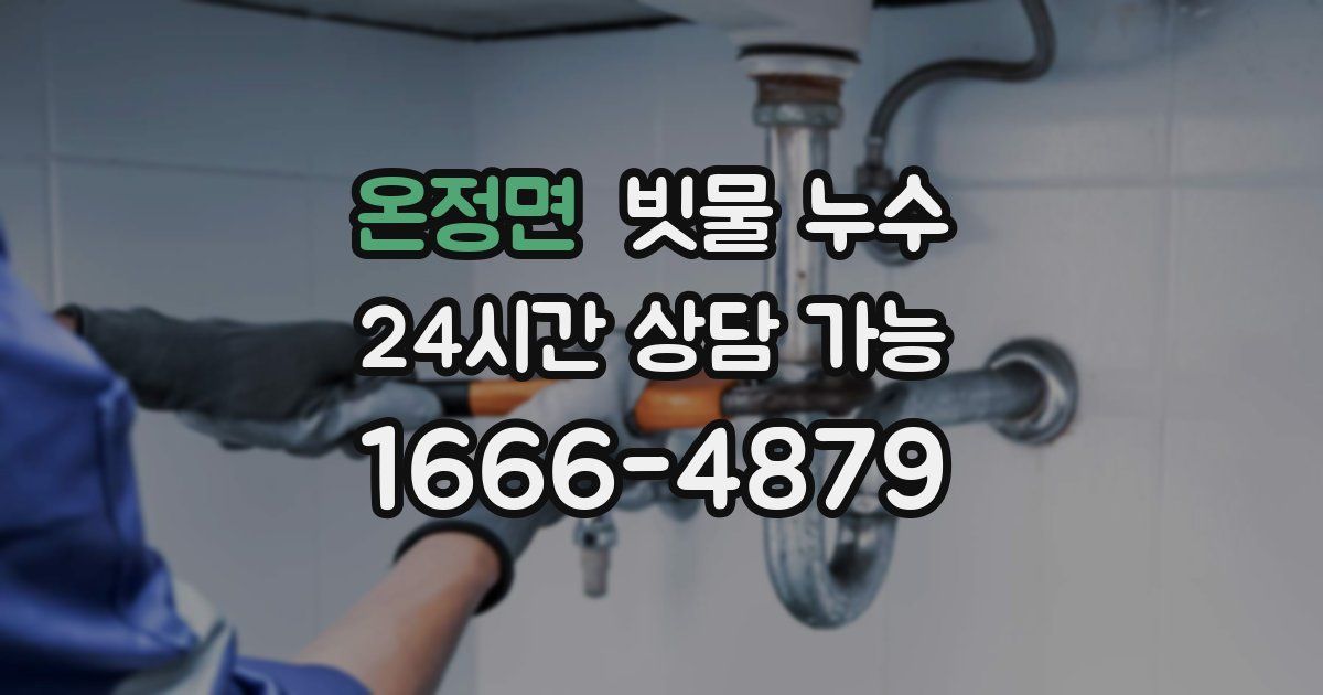 온정면 빗물 누수