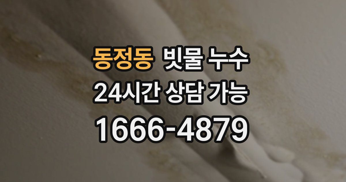 동정동 빗물 누수