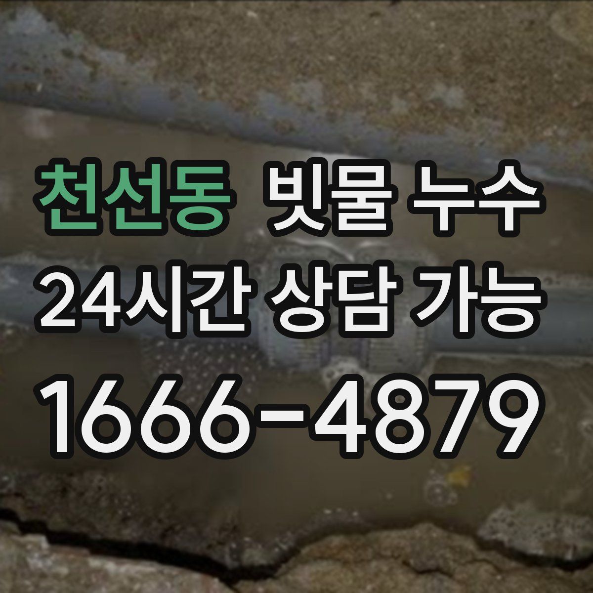 천선동 빗물 누수