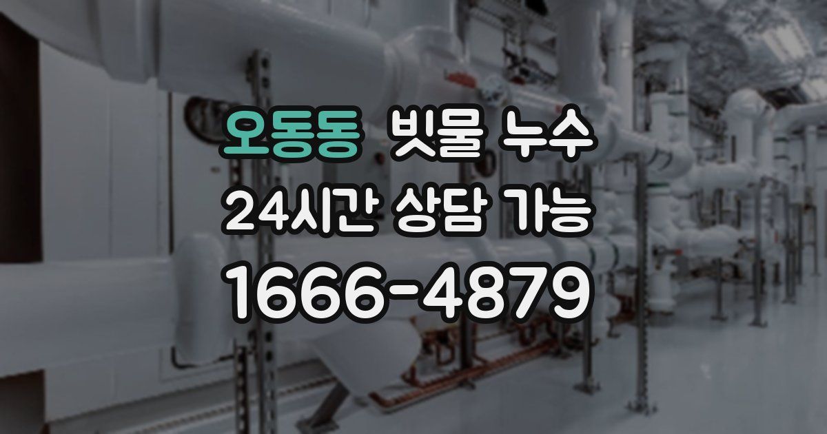 오동동 빗물 누수