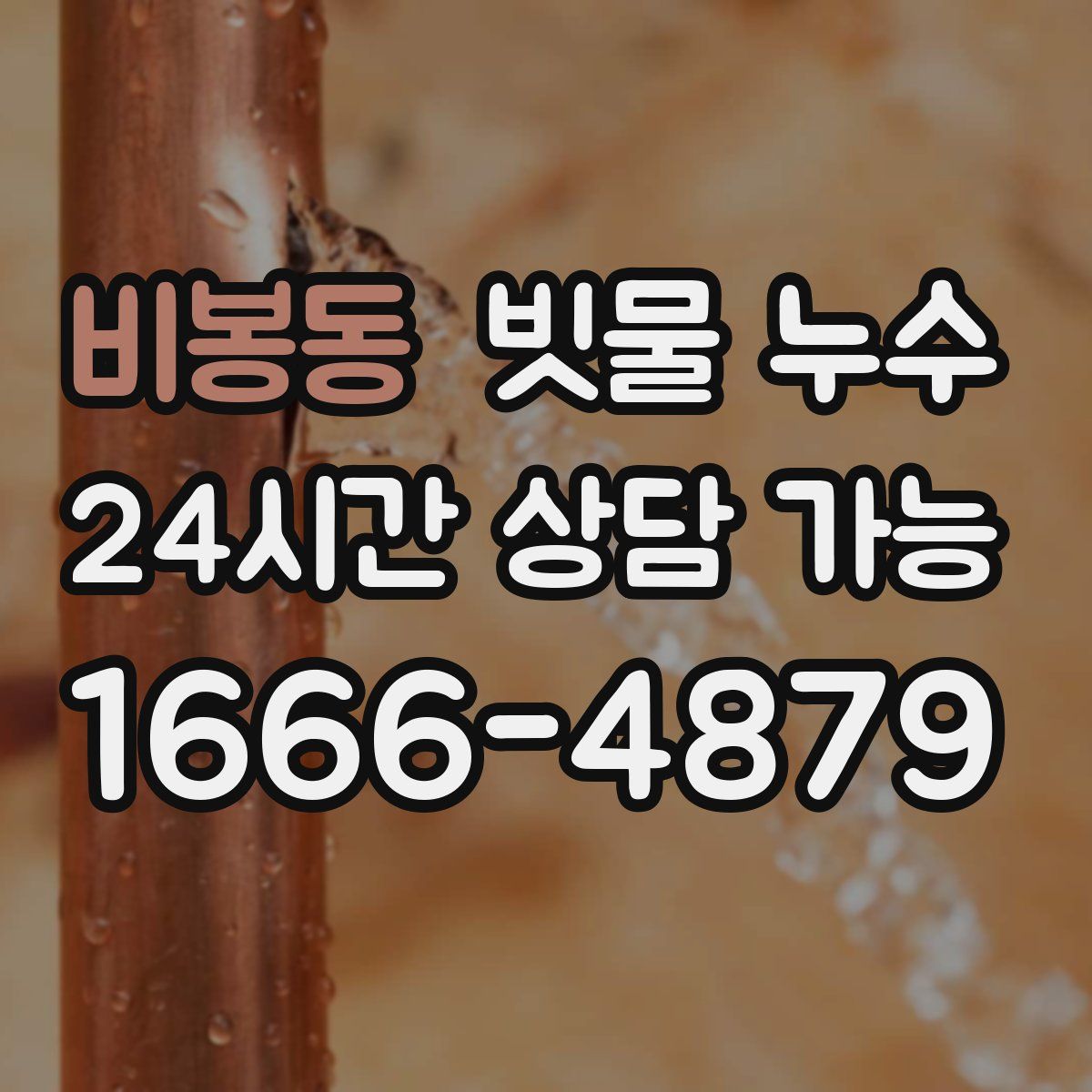 비봉동 빗물 누수