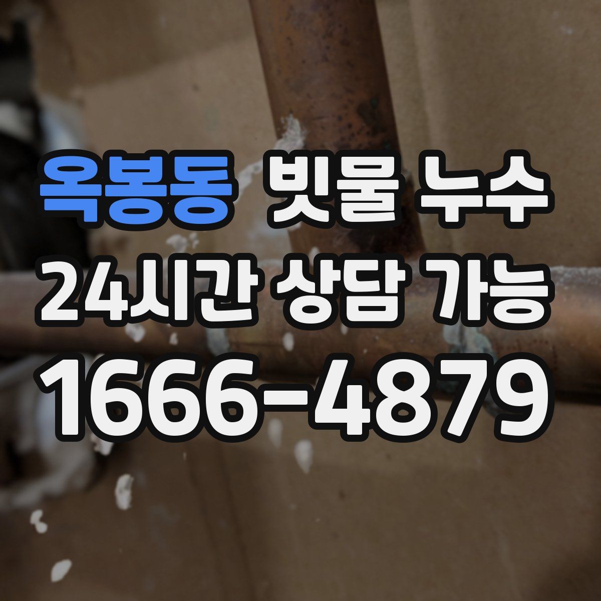 옥봉동 빗물 누수