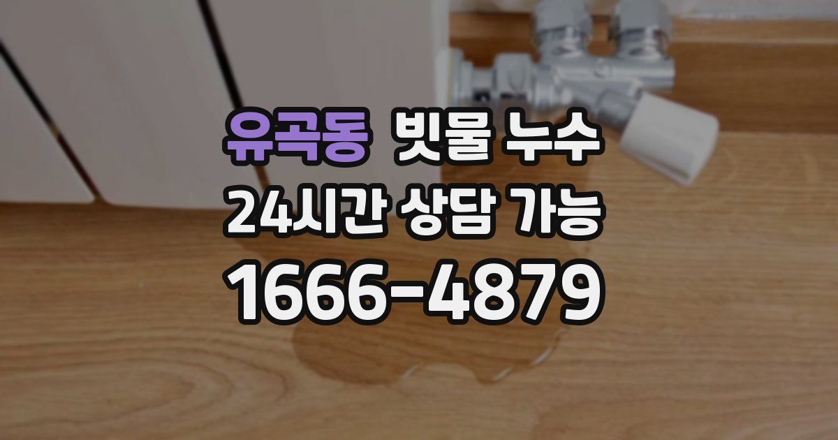 유곡동 빗물 누수