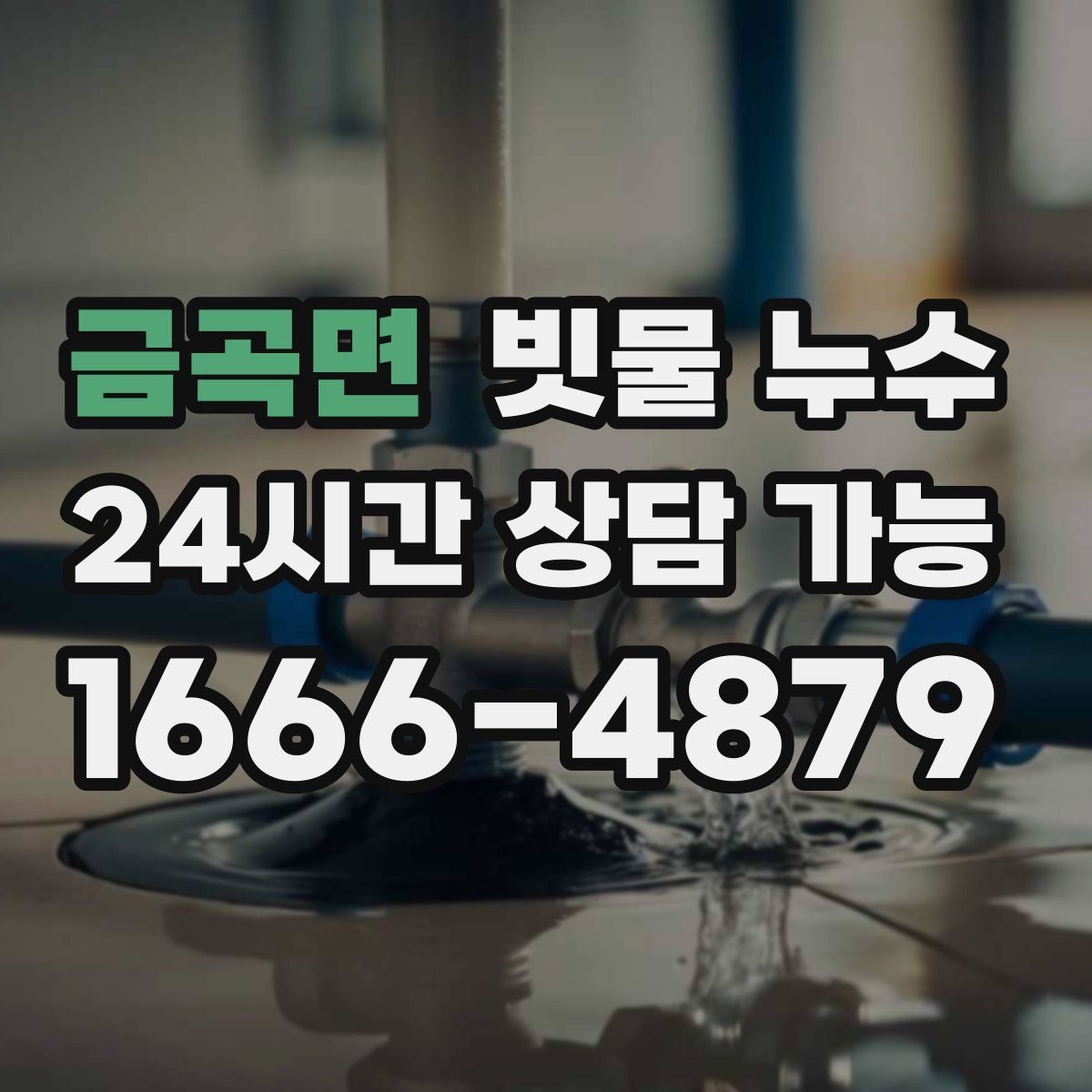 금곡면 빗물 누수