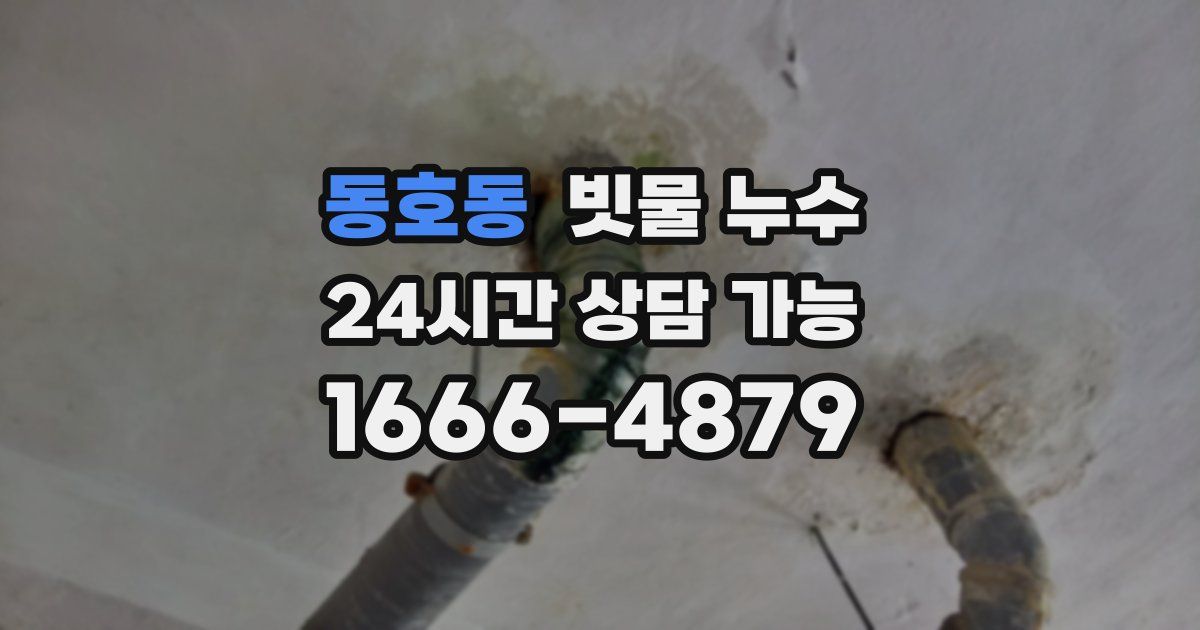 동호동 빗물 누수