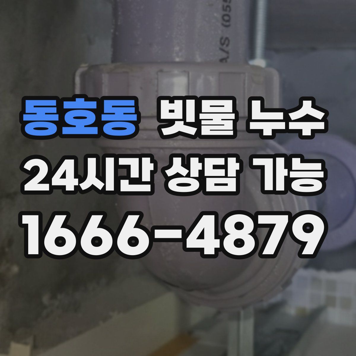 동호동 빗물 누수