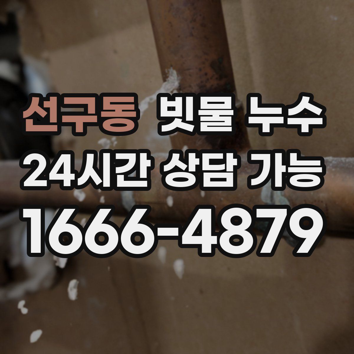 선구동 빗물 누수