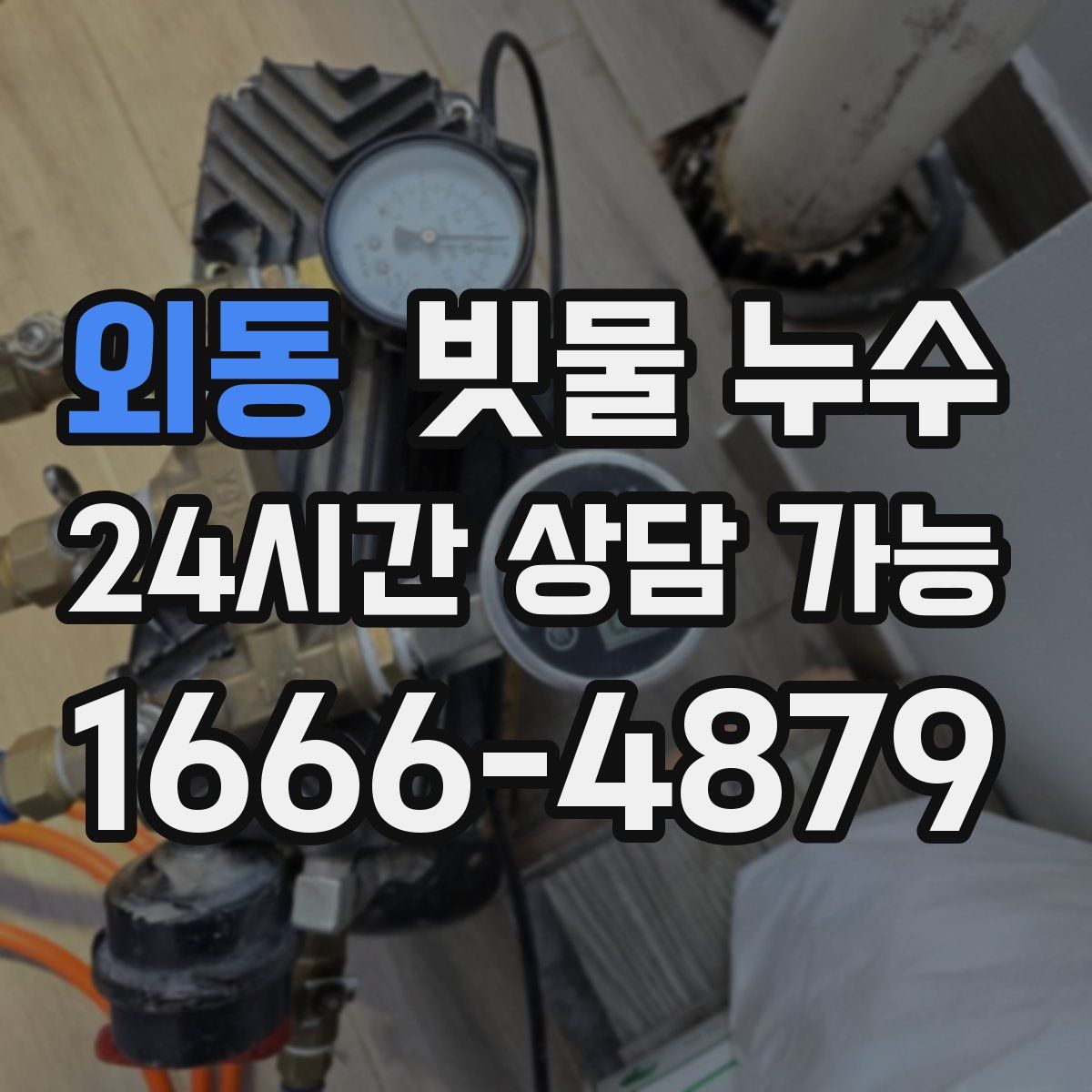 외동 빗물 누수
