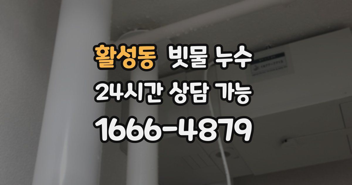 활성동 빗물 누수