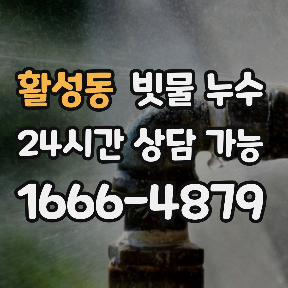 활성동 빗물 누수