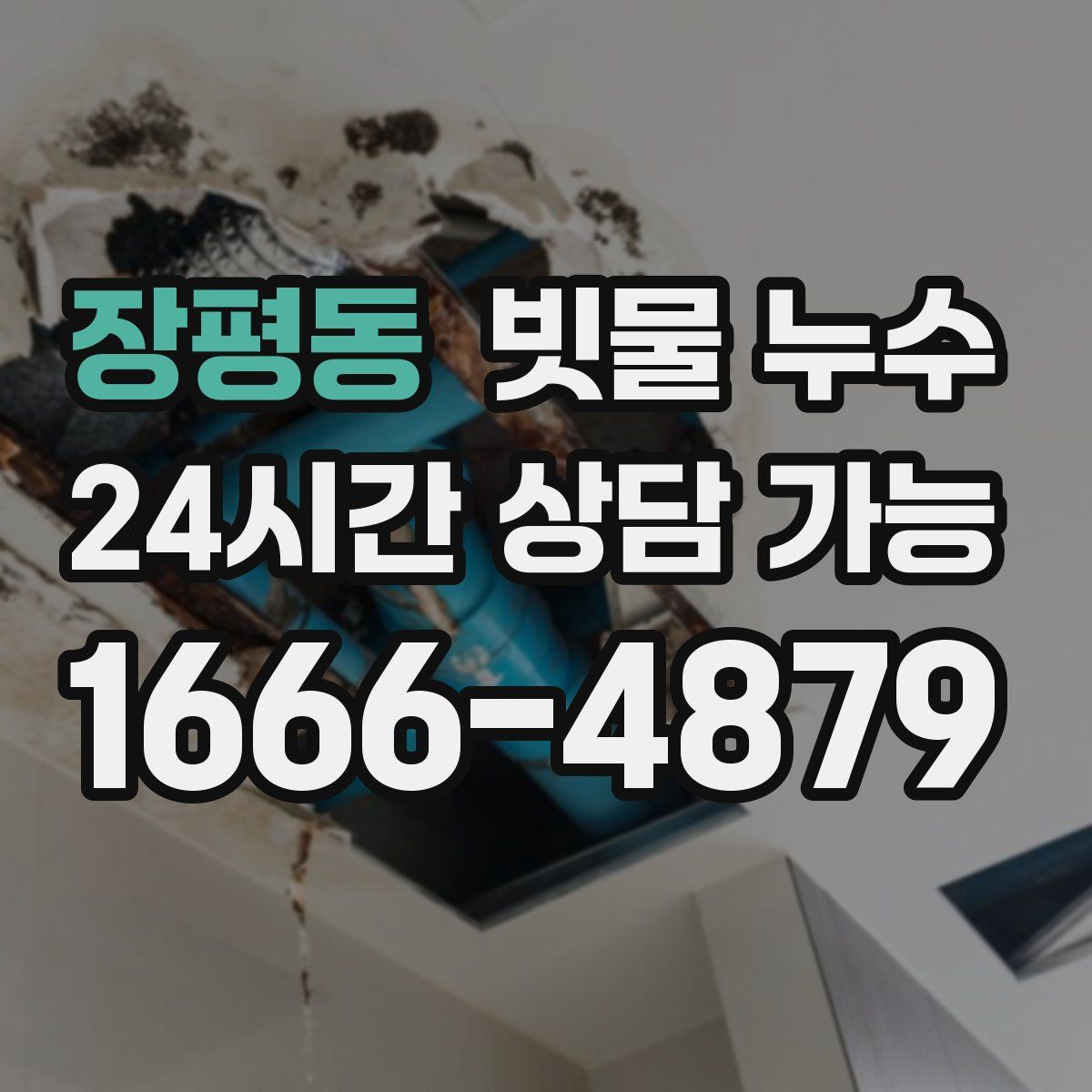 장평동 빗물 누수