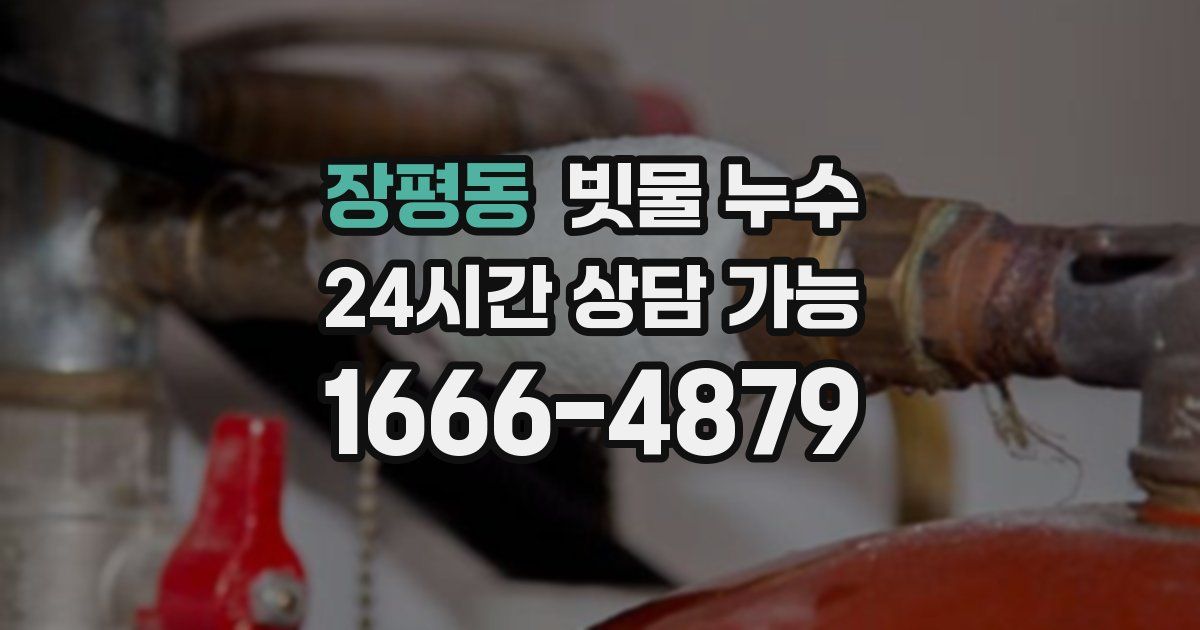 장평동 빗물 누수