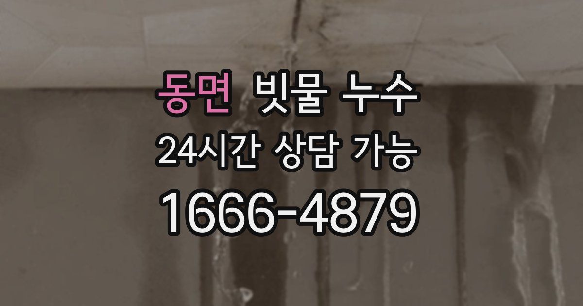동면 빗물 누수