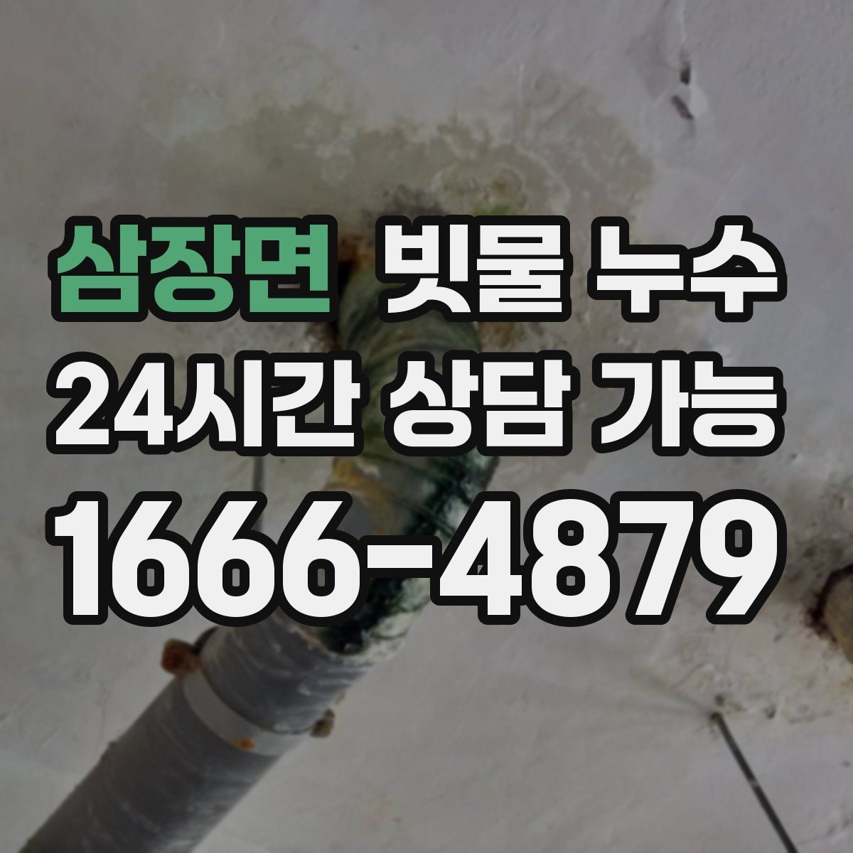 삼장면 빗물 누수