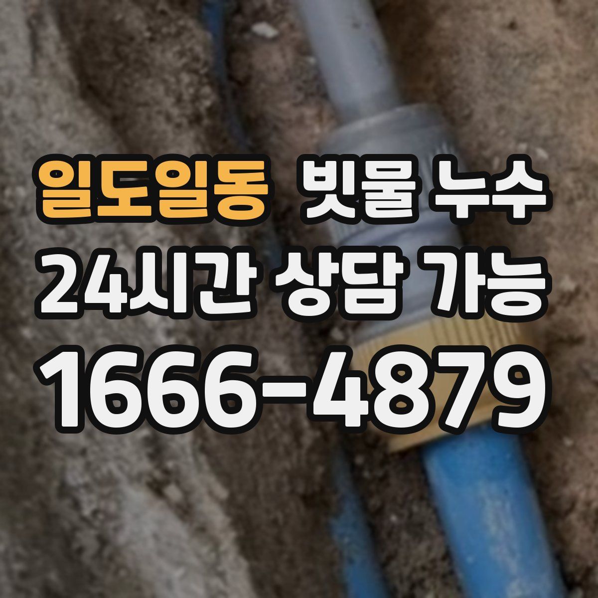 일도일동 빗물 누수