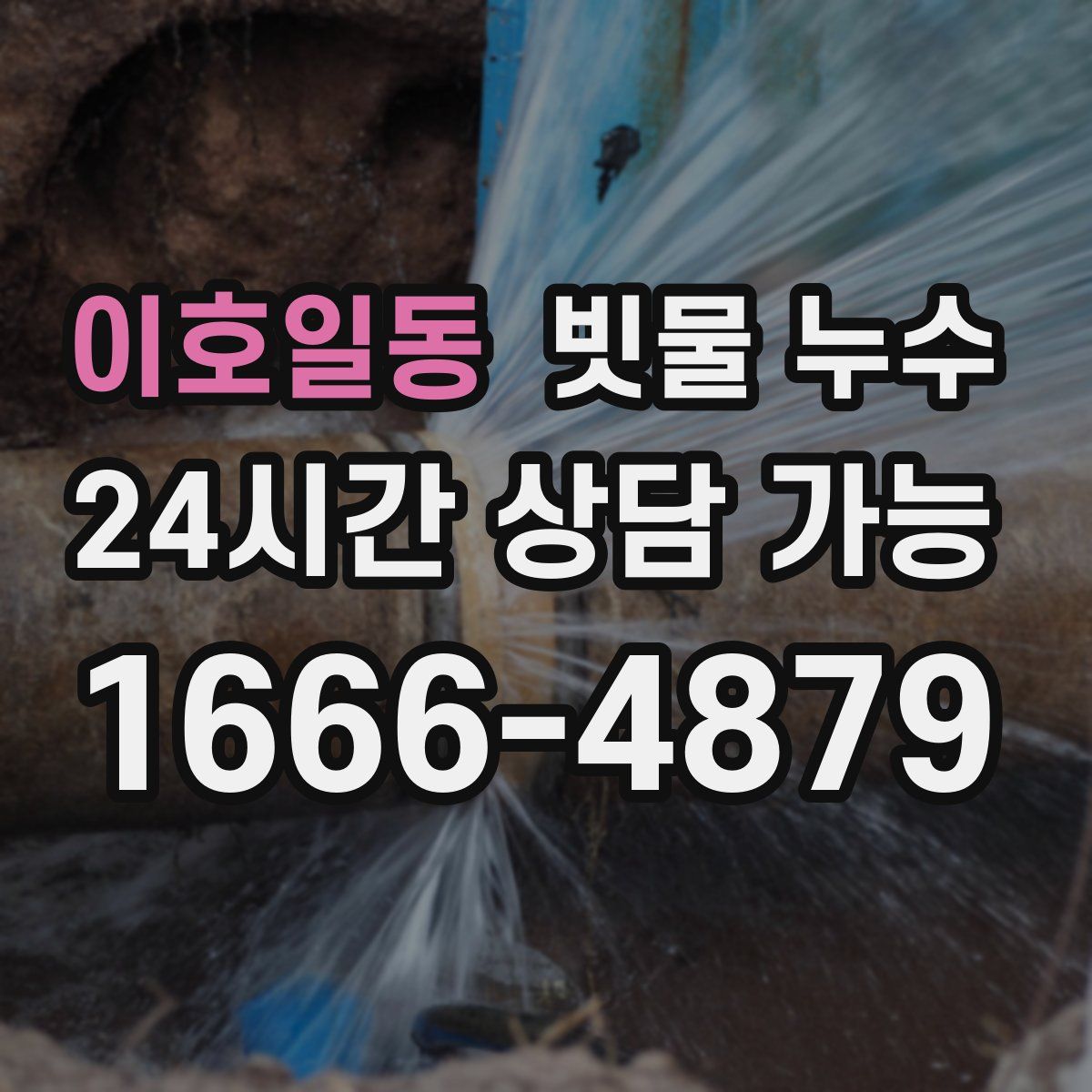 이호일동 빗물 누수