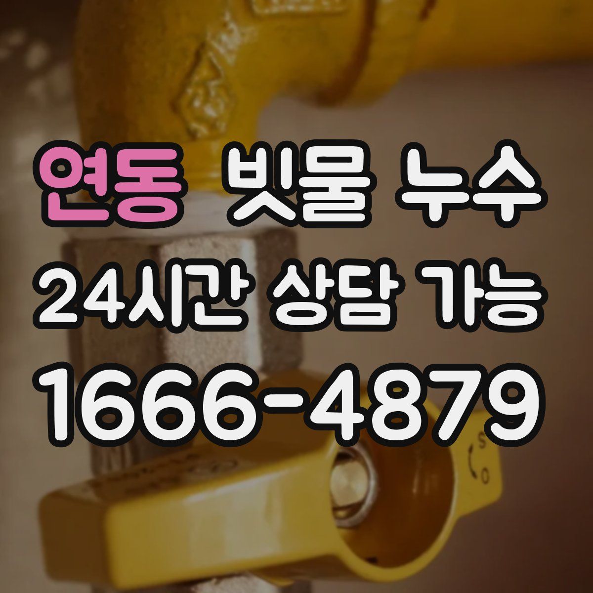 연동 빗물 누수