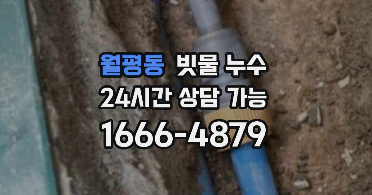 월평동 빗물 누수
