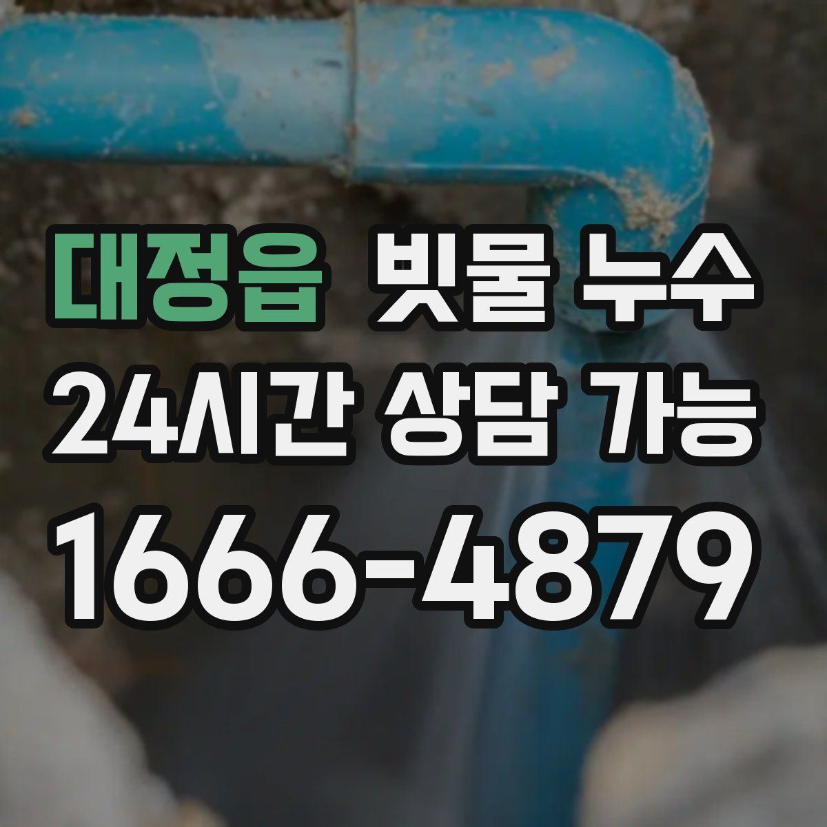 대정읍 빗물 누수