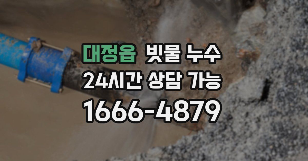 대정읍 빗물 누수