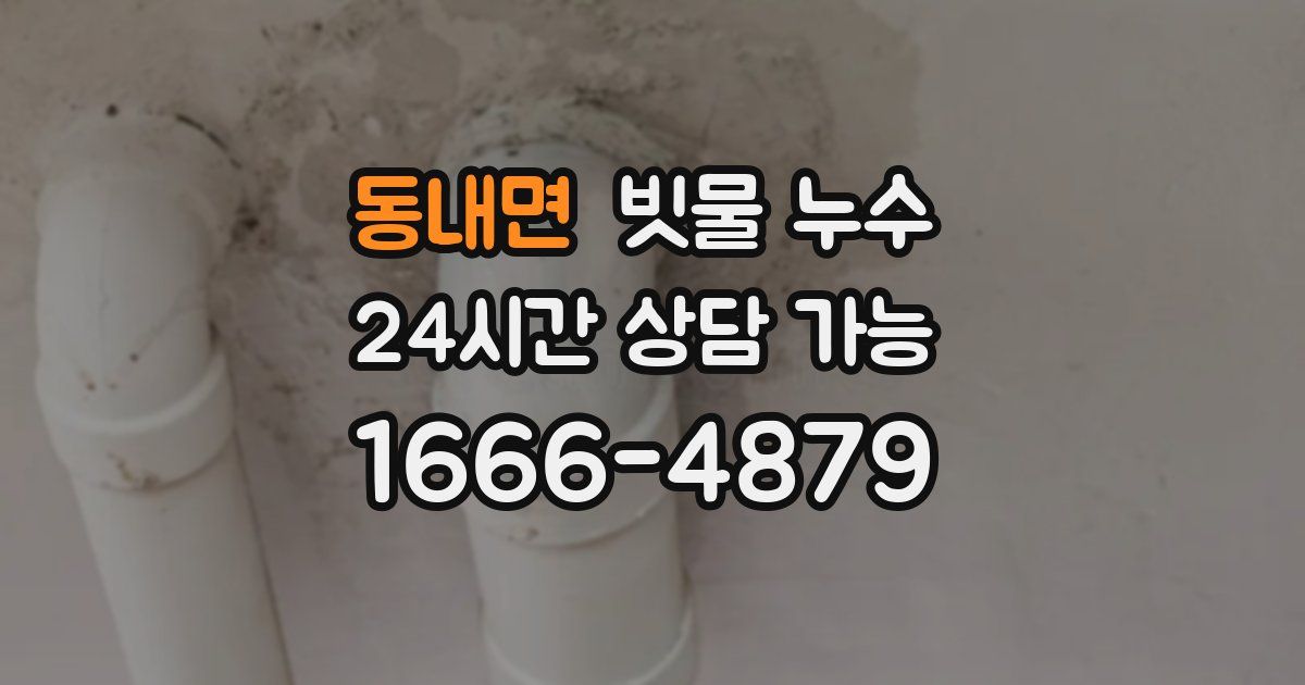 동내면 빗물 누수