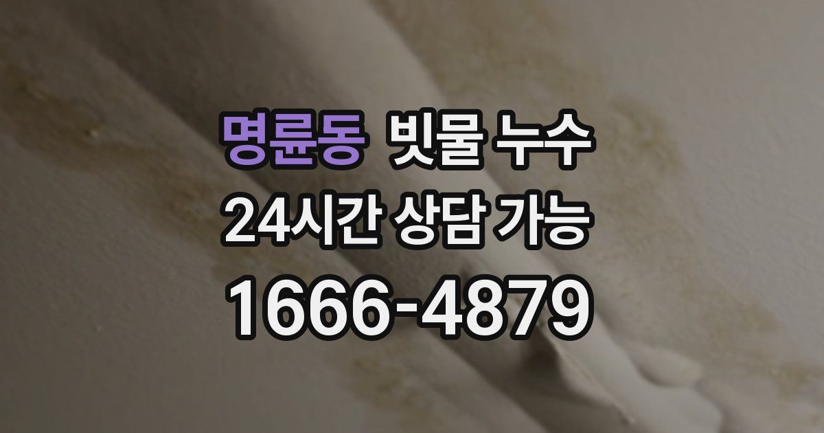 명륜동 빗물 누수