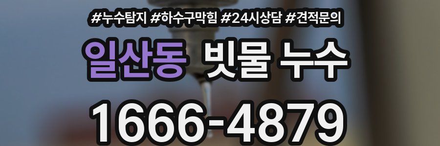 일산동 빗물 누수