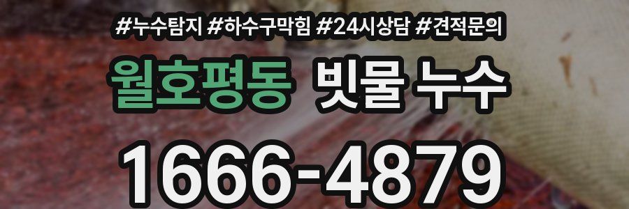 월호평동 빗물 누수