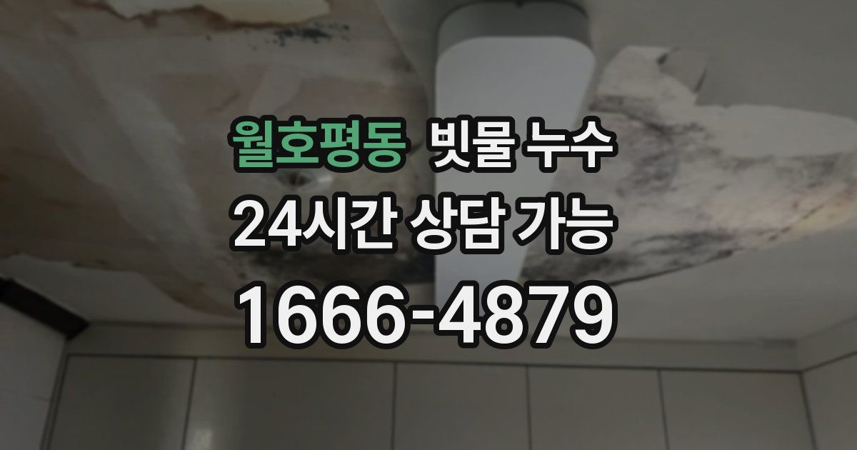 월호평동 빗물 누수