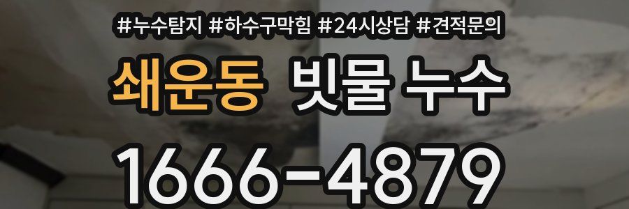쇄운동 빗물 누수