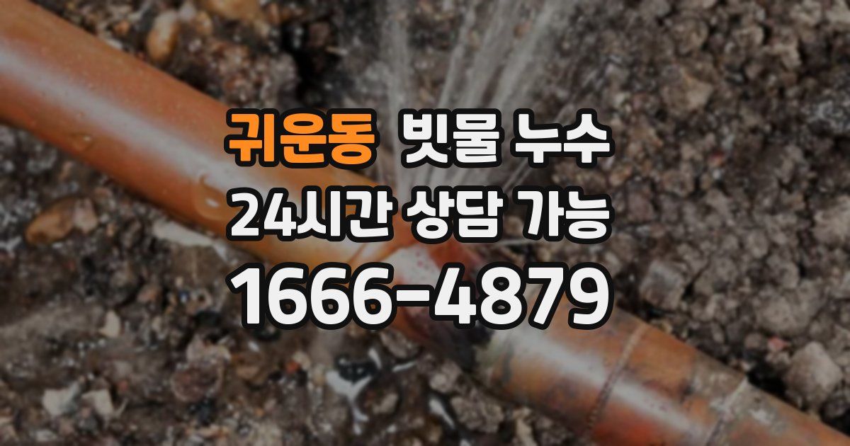 귀운동 빗물 누수