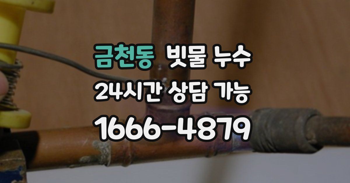 금천동 빗물 누수
