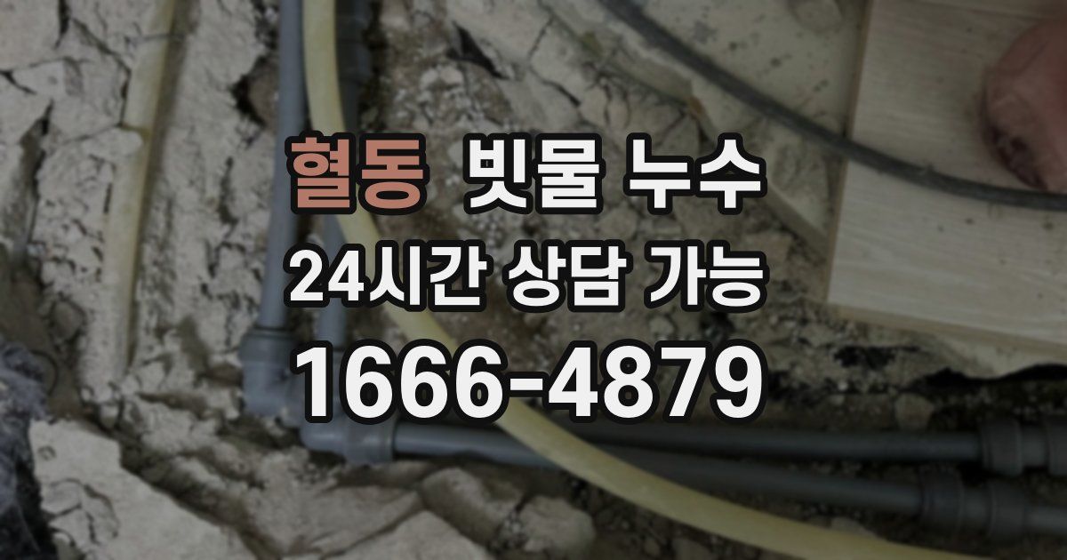 혈동 빗물 누수