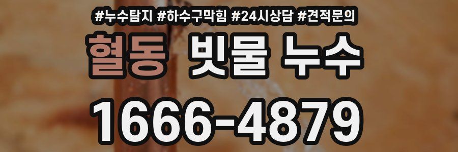 혈동 빗물 누수